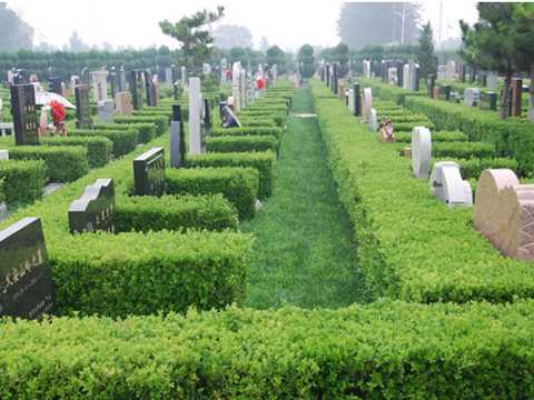 墓地安葬需要哪些手续?安葬流程有哪些?